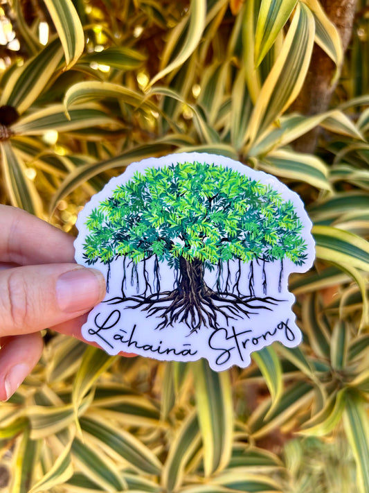 Lahaina Strong Banyan Tree Sticker